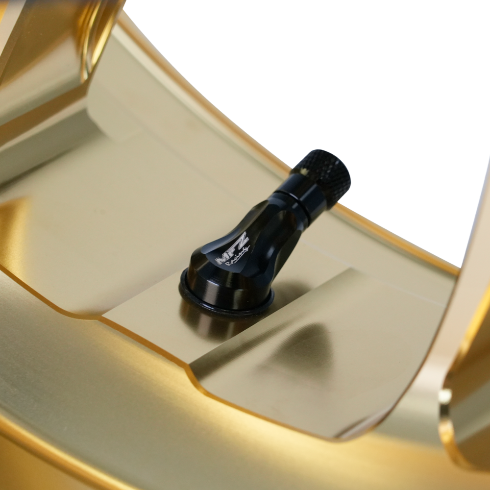 Forged Aluminum wheels / Rims YAMAHA T-MAX530 (AC-10S Gemini A model)