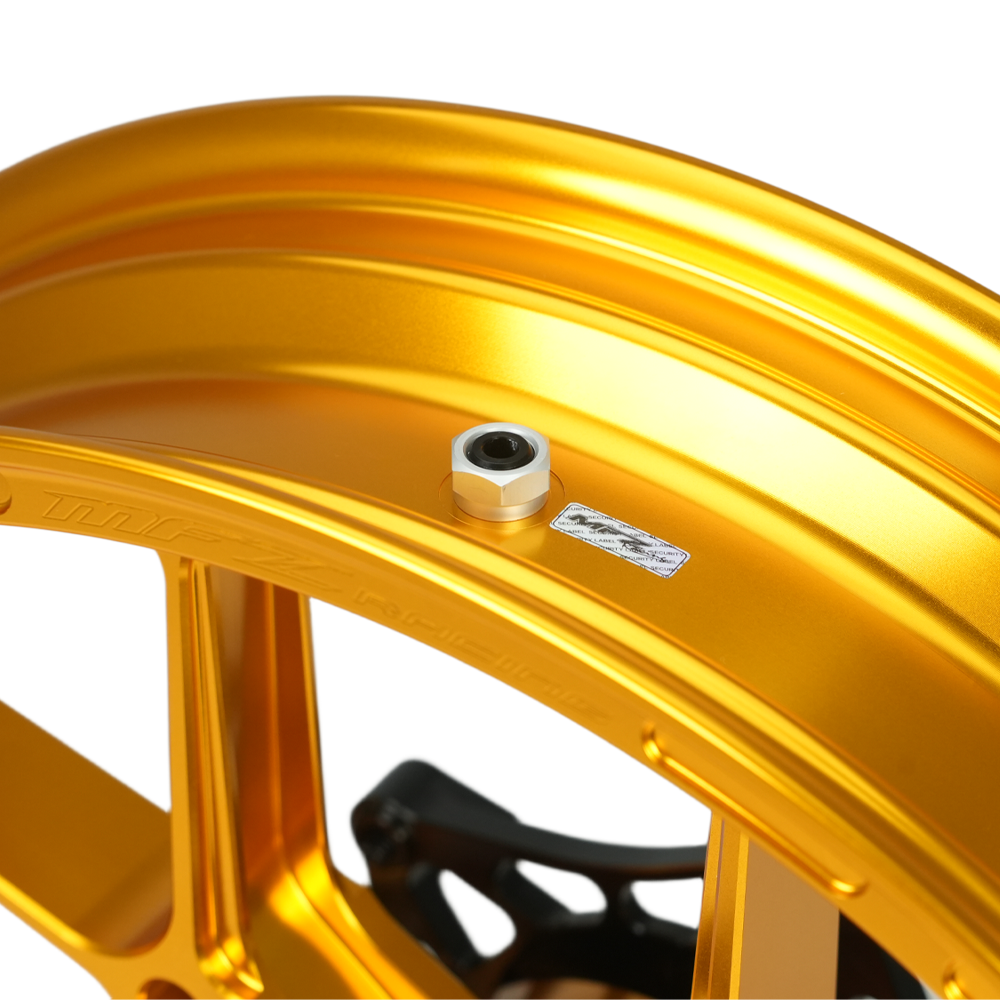 Forged Aluminum wheels / Rims YAMAHA X-MAX300 (E-10S Classic Gold)